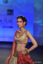 Model walk the ramp for Anju Modi show at PCJ Delhi Couture Week Day 3 on 10th Aug 2012 200 (39).JPG